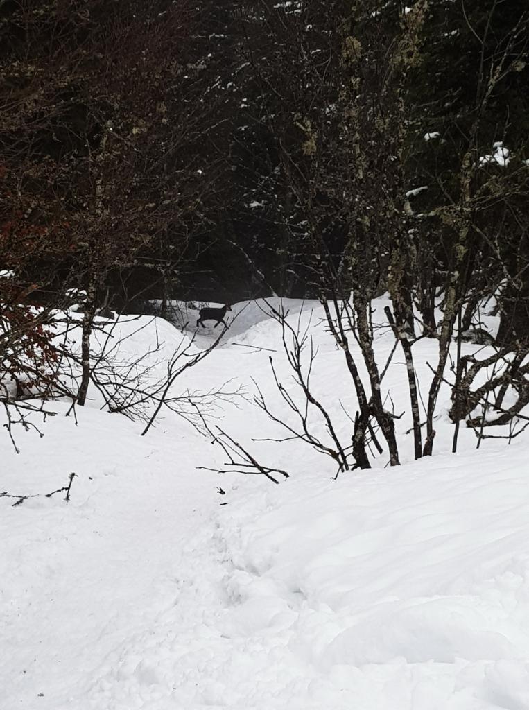 2018-01 Rando raquettes 32