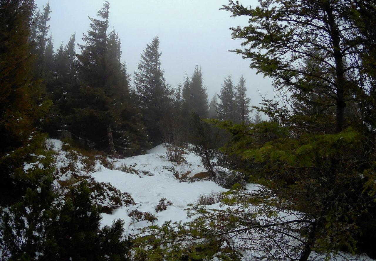 2018-01 Rando raquettes 33