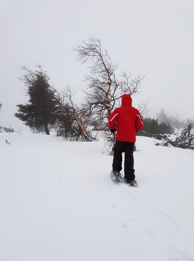 2018-01 Rando raquettes 34